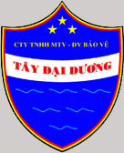 Logo congtybaovetaydaiduong.com